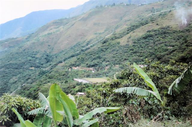 De Yungas, bergflank met lage begroeiing 